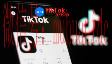 tiktok账号购买平台