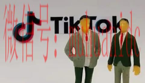 tiktok账号购买平台