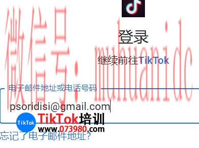tiktok账号购买平台