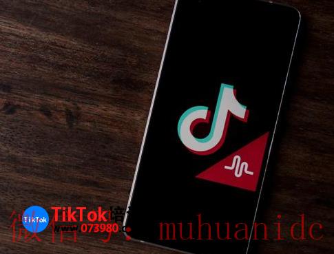 tiktok账号购买平台