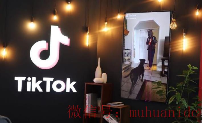 tiktok账号购买平台