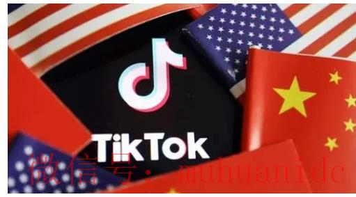 tiktok账号购买平台