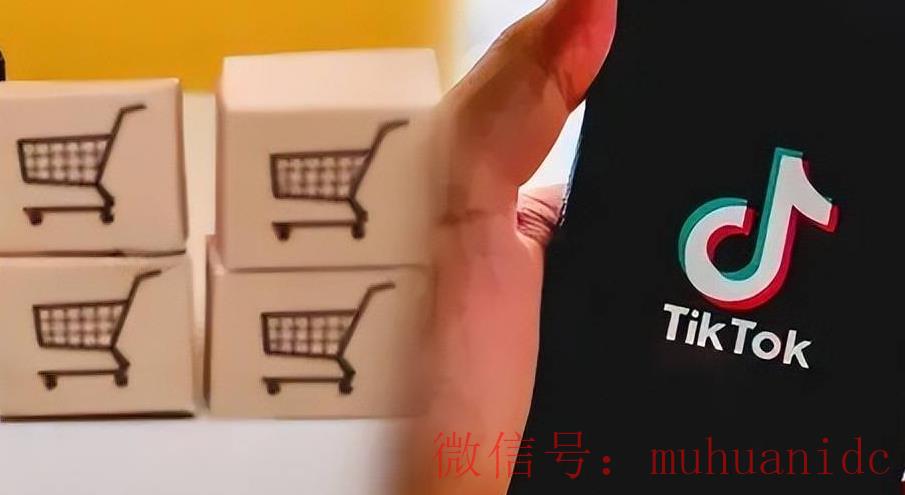 tiktok账号购买平台