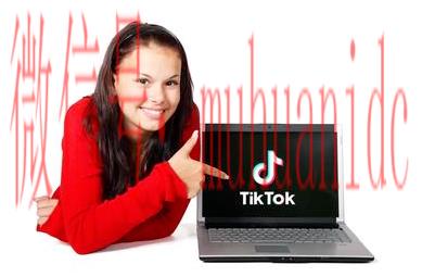 tiktok账号购买平台