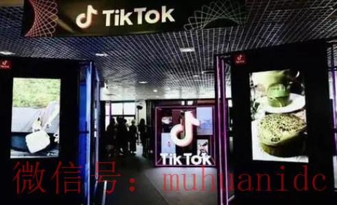 tiktok账号购买平台