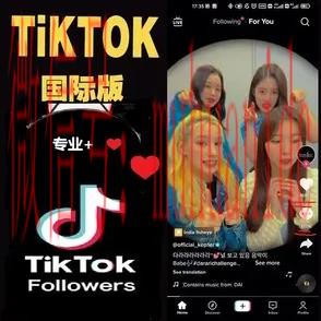tiktok账号购买平台