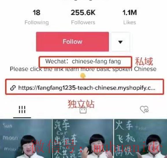 tiktok账号购买平台