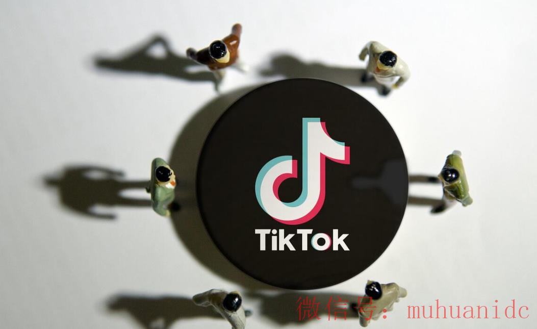 tiktok账号购买平台