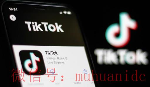 tiktok账号购买平台