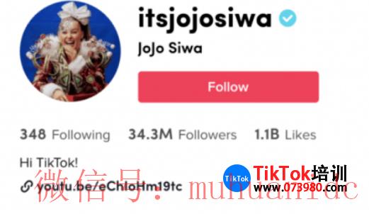 tiktok账号购买平台