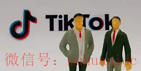 tiktok账号购买平台
