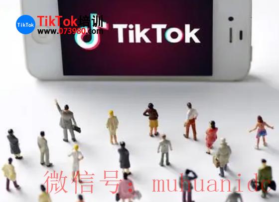 tiktok账号购买平台
