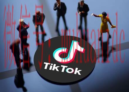 tiktok账号购买平台