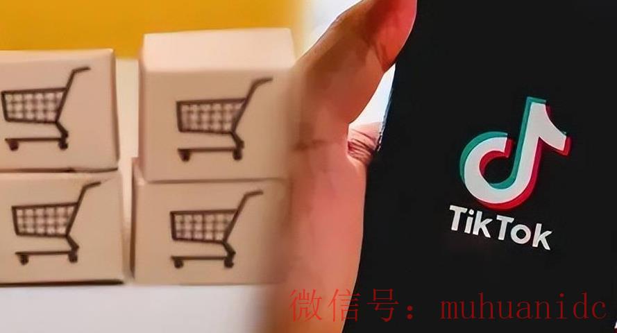 tiktok账号购买平台