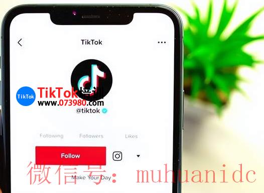 tiktok账号购买平台