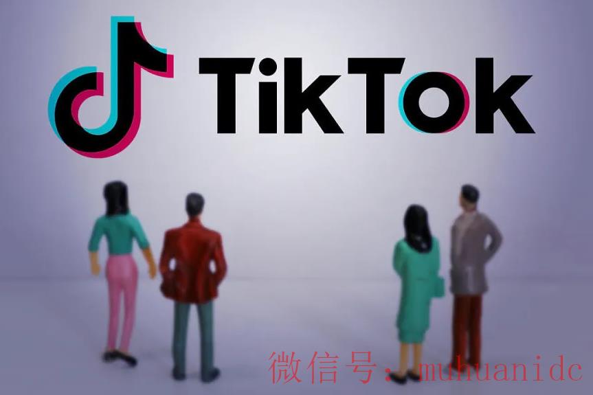 tiktok账号购买平台