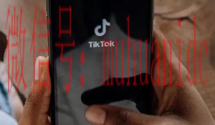 tiktok账号购买平台