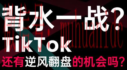 tiktok账号购买平台