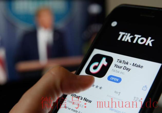 tiktok账号购买平台