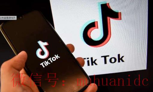 tiktok账号购买平台