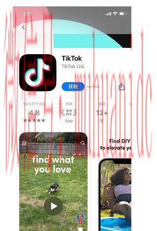 tiktok账号购买平台