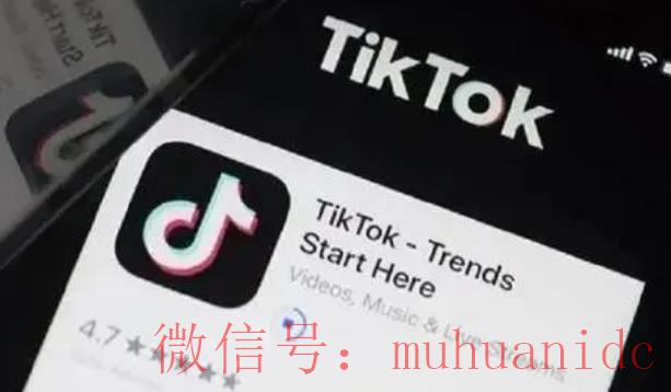 tiktok账号购买平台