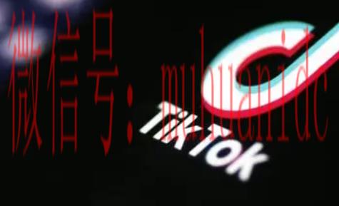 tiktok账号购买平台