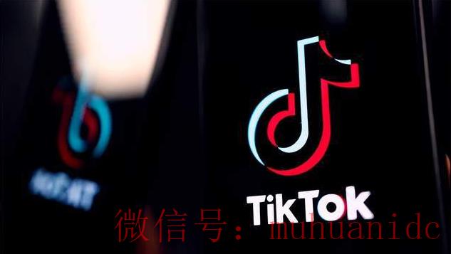 tiktok账号购买平台