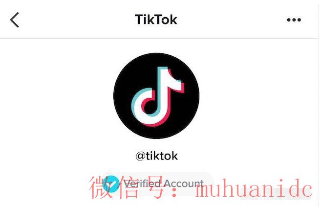 tiktok账号购买平台