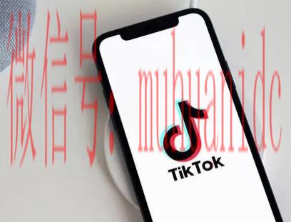tiktok账号购买平台