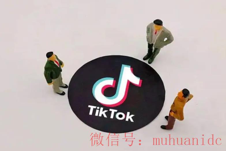 tiktok账号购买平台
