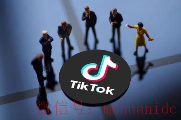 tiktok账号购买平台