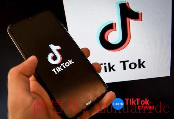tiktok账号购买平台