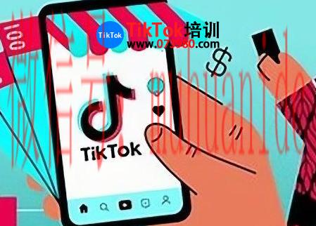 tiktok账号购买平台