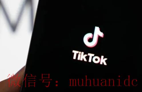 tiktok账号购买平台