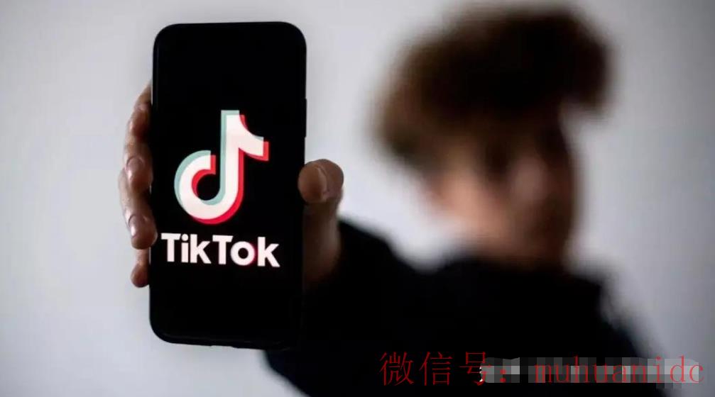 tiktok账号购买平台