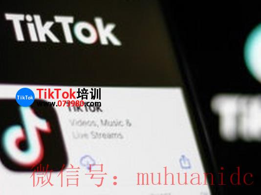 tiktok账号购买平台