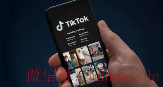 TikTok账号购买平台