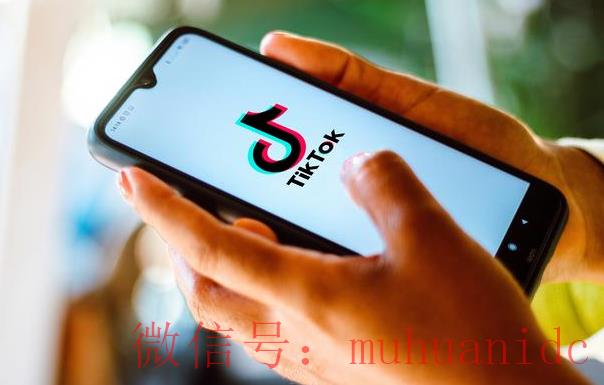 tiktok账号购买平台