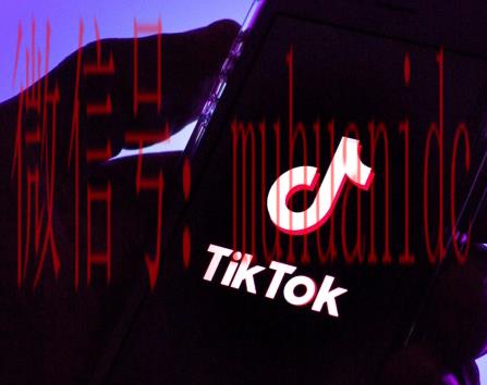 tiktok账号购买平台