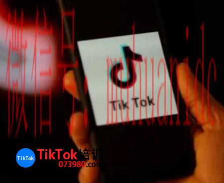 tiktok账号购买平台