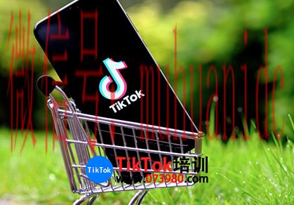 tiktok账号购买平台