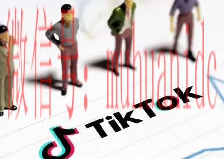 tiktok账号购买平台