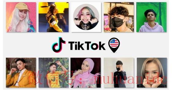 tiktok账号购买平台