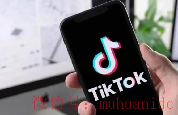 tiktok账号购买平台