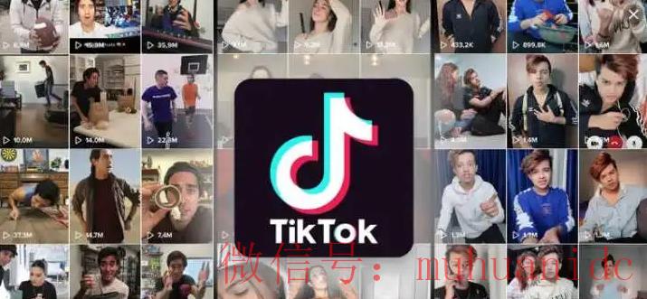 tiktok账号购买平台