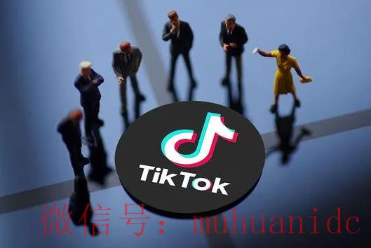 tiktok账号购买平台