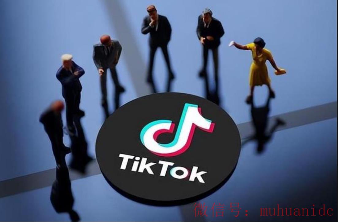 tiktok账号购买平台