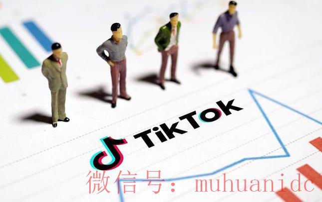tiktok账号购买平台