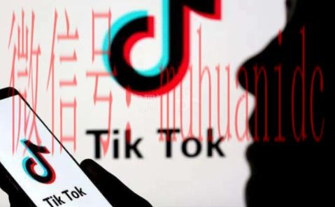 tiktok账号购买平台